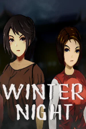 Winter Night poszter