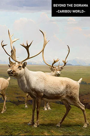 Beyond The Diorama: Caribou World poszter