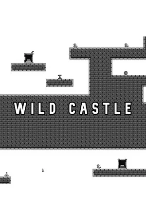 Wild Castle poszter