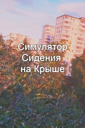 Симулятор Сидения на Крыше poszter