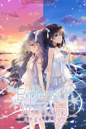 The Expression Amrilato poszter