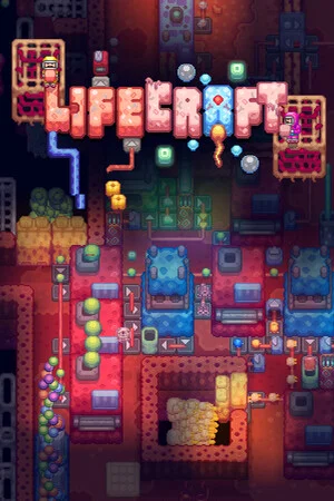 Lifecraft poszter