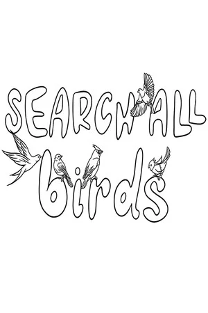SEARCH ALL - BIRDS poszter