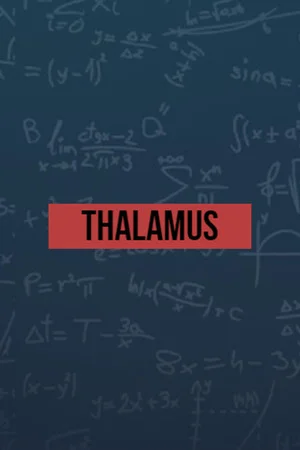 Thalamus poszter