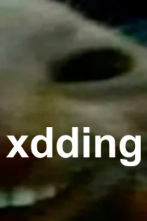 xdding poszter