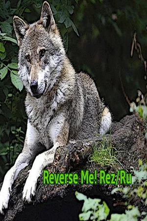 Reverse Me! Rez/Ru poszter