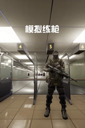 模拟练枪 poszter