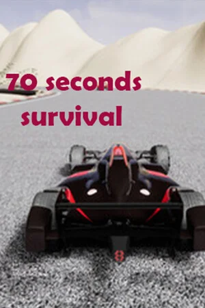 70 Seconds Survival poszter