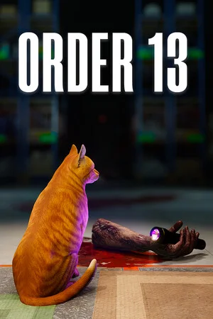 ORDER 13 poszter