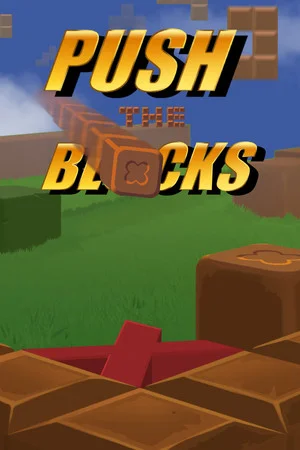 Push The Blocks poszter
