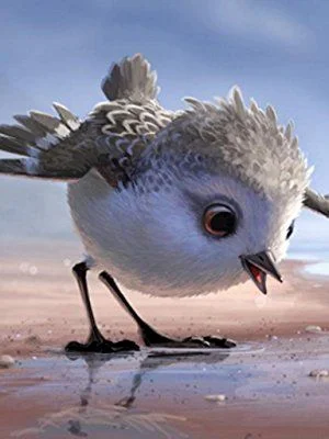 Szalonka (2016) poszter