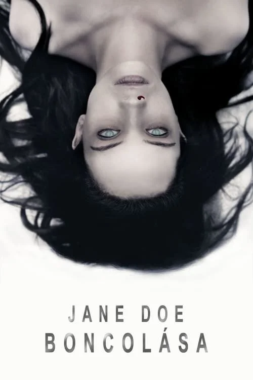 A boncolás (2016) poszter