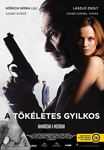 A tökéletes gyilkos (2017) poszter