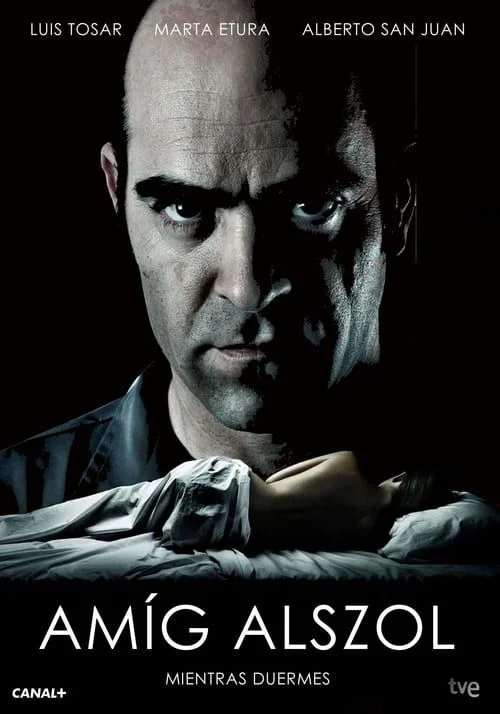 Amíg alszol (2011) poszter