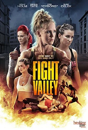 Fight Valley (2016) poszter