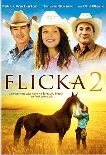 Flicka 2 (2010) poszter