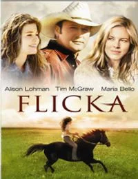 Flicka (2006) poszter