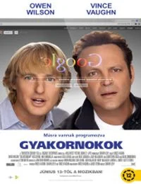 Gyakornokok (2013) poszter