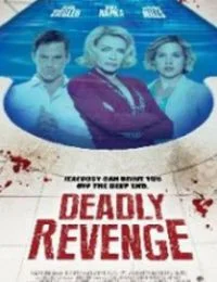 Gyilkos gyanú (2013) poszter