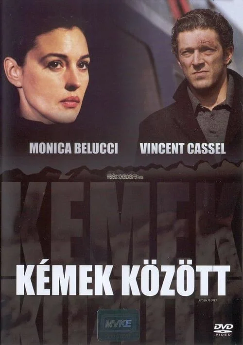 Kémek között (2004) poszter