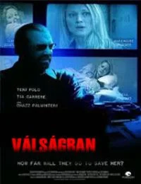 Válságban (2013) poszter