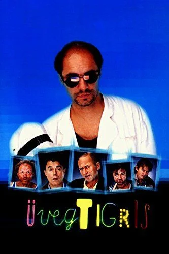 Üvegtigris (2001) poszter