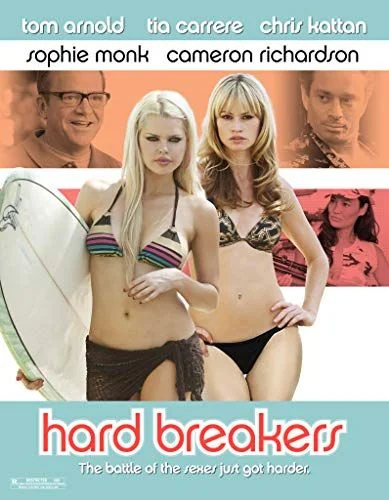 Bikinis bombázók bevetésen (2010) poszter