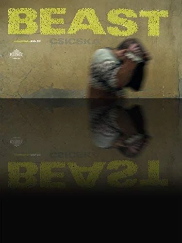 Csicska (2011) poszter