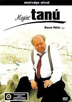 Megint tanú (1995) poszter