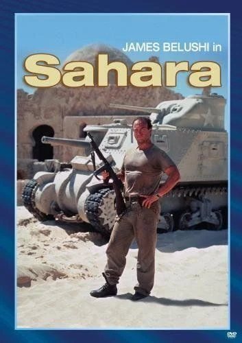 Szahara (1995) poszter