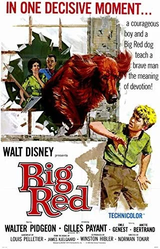 Big Red (1962) poszter