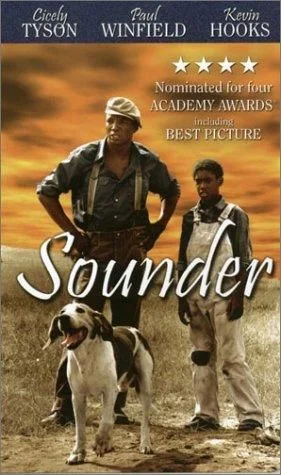 Csibész (1972) poszter