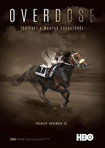 Overdose: Vágta egy álomért (2013) poszter