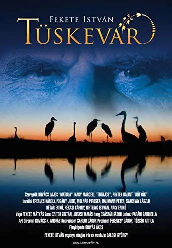 Tüskevár (2012) poszter