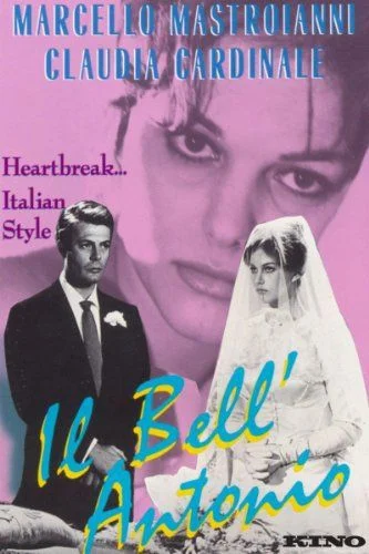 A szép Antonio (1960) poszter