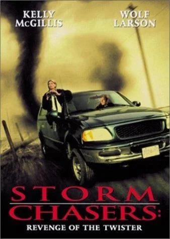 A Twister visszavág (1998) poszter