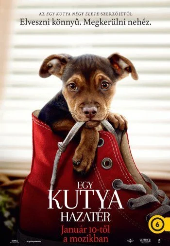 Egy kutya hazatér (2019) poszter