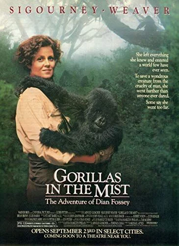 Gorillák a ködben (1988) poszter