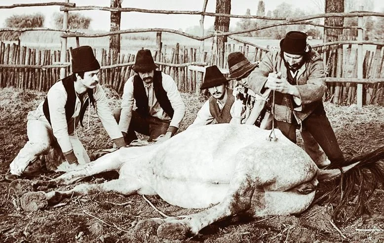 Villám (1981) poszter