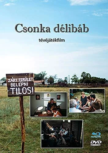 Csonka délibáb (2015) poszter