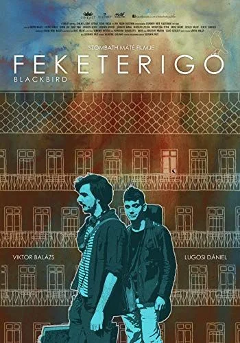 Feketerigó (2015) poszter