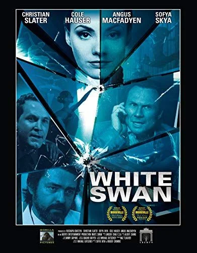 Gyilkos tánc (2013) poszter