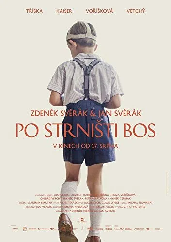 Po strnisti bos (2017) poszter