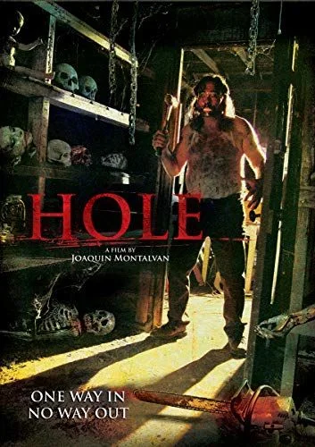 Hole (2010) poszter