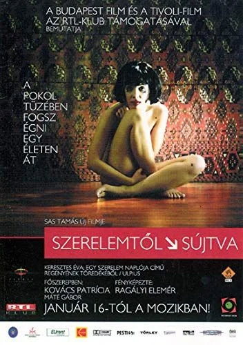 Szerelemtől sújtva (2003) poszter