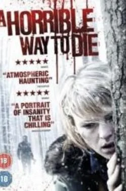 Borzalmas út a halálhoz (2010) poszter