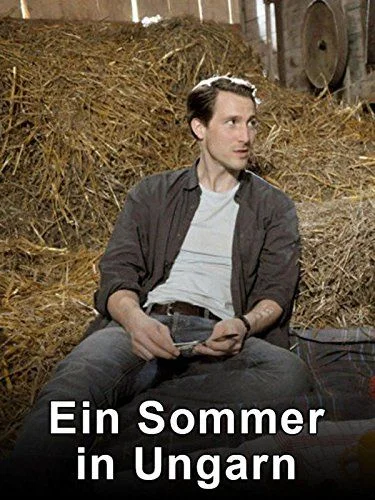 Nyár Magyarországon (2014) poszter