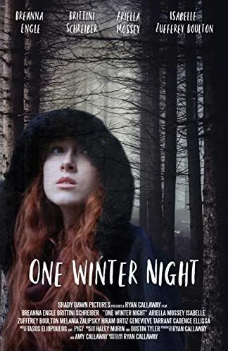 One Winter Night (2019) poszter