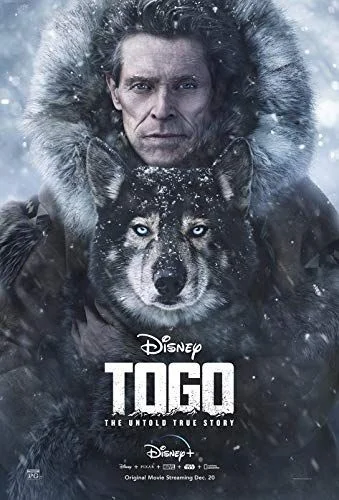Togo (2019) poszter