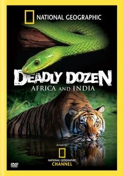 India's Deadly Dozen (2007) poszter